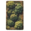 Playmats : Las 2D Green Summer 9″ × 5″ - gumowy teren do gier bitewnych