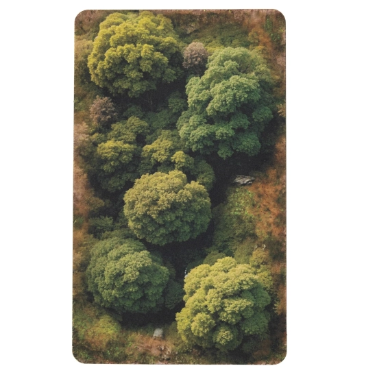 Playmats : Las 2D Green Summer 9″ × 5″ - gumowy teren do gier bitewnych